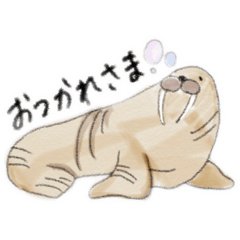 [LINEスタンプ] ほのぼの海で暮らそう。