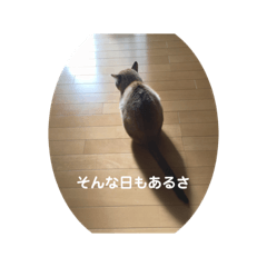 [LINEスタンプ] ほのぼのひよちゃん 2