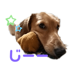 [LINEスタンプ] チョビくんスタンプ6