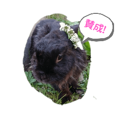 [LINEスタンプ] くろうさぎさん