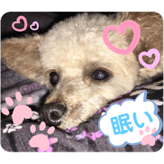 [LINEスタンプ] まろん09.26