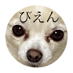 [LINEスタンプ] 可愛すぎるやつ