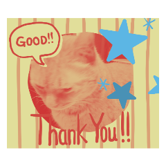 [LINEスタンプ] ねこと、ねこ