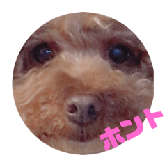 [LINEスタンプ] pola12