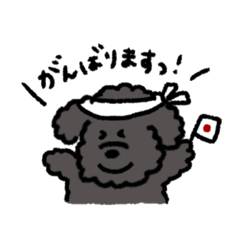 [LINEスタンプ] 黒いもふもふ(トイプードル)