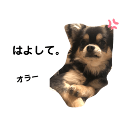 [LINEスタンプ] 関西弁のチワスタ
