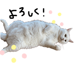 [LINEスタンプ] みるくです①
