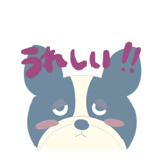 [LINEスタンプ] たいきちたい太郎