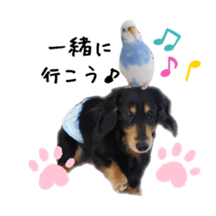 [LINEスタンプ] ちょちおとぷーちゃん