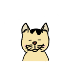 [LINEスタンプ] ゆる猫ミヤさん