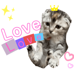 [LINEスタンプ] ねこのおすず〜気まぐれな一日