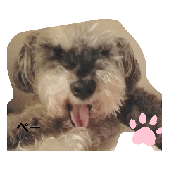 [LINEスタンプ] カッピとおーちゃん