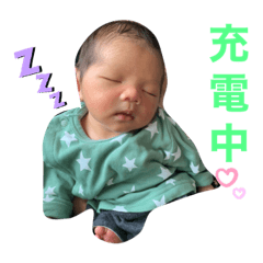 [LINEスタンプ] ko-ao-ciha