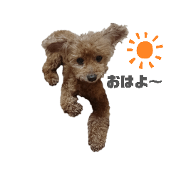 [LINEスタンプ] ウッディ＆ぴーちゃん
