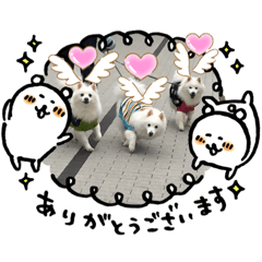 [LINEスタンプ] スピッツファミリー⑨