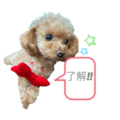 [LINEスタンプ] LEOSTAMPP