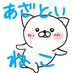 [LINEスタンプ] あざとい猫