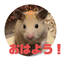 [LINEスタンプ] キンクマもなかの1日②
