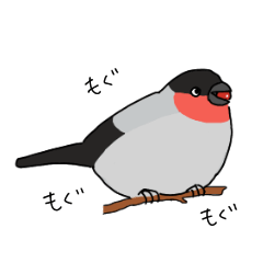 [LINEスタンプ] 野鳥でおしゃべり