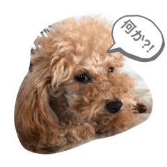 [LINEスタンプ] じじの日常