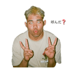 [LINEスタンプ] あーにぱいる連合