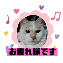 [LINEスタンプ] ミータ郎ファミリー2