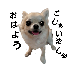 [LINEスタンプ] キキたんず1