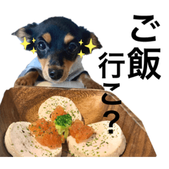 [LINEスタンプ] るぅと申します