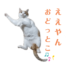[LINEスタンプ] にゃんスタ2❗