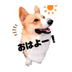 [LINEスタンプ] コーギービズ