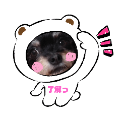 [LINEスタンプ] 毎日使えるスタンプ（ペット）