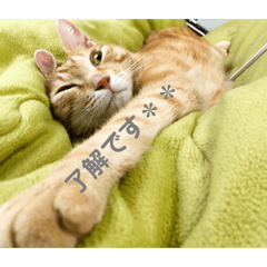 [LINEスタンプ] みかおか