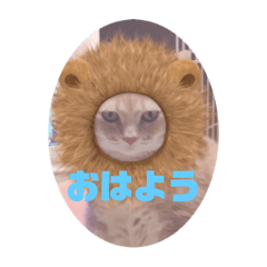 [LINEスタンプ] yuyuringo1220