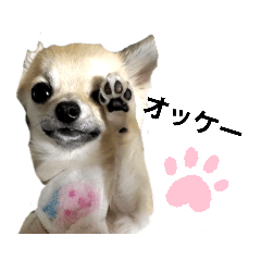 [LINEスタンプ] キキたんず13