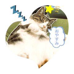 [LINEスタンプ] ぽんのゴロゴロすたんぷ