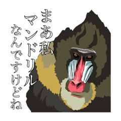 [LINEスタンプ] アニマルの主張