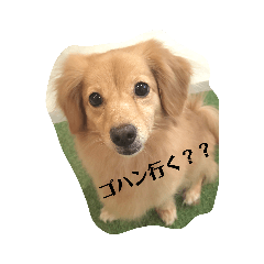[LINEスタンプ] イキモノノキモチ①