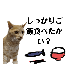 [LINEスタンプ] こんな日もあるだろうねこ