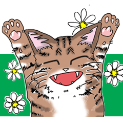 [LINEスタンプ] プレアデス館 ねこスタンプ40