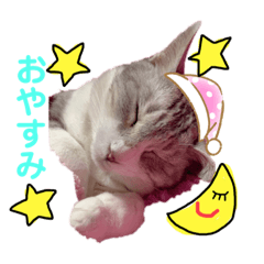 [LINEスタンプ] 安岡家のペット①