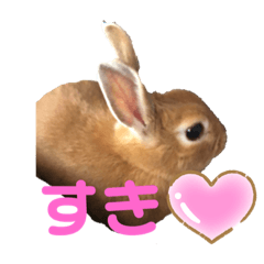 [LINEスタンプ] うさぎのモカちゃんスタンプpart5