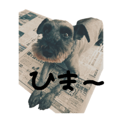 [LINEスタンプ] リッツとオレオ①