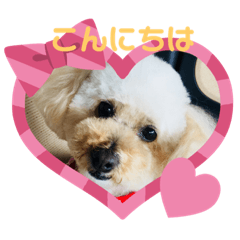 [LINEスタンプ] かわいいルナ