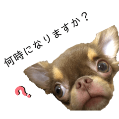 [LINEスタンプ] ココとルゥ③
