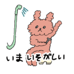 [LINEスタンプ] かわいいプードルちゃん！