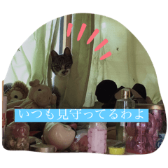 [LINEスタンプ] コロジチャ物語