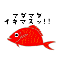 [LINEスタンプ] 真鯛 基本編