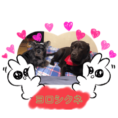 [LINEスタンプ] 凸凹姉弟2
