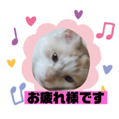 [LINEスタンプ] ミータ郎ファミリー自粛中