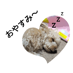 [LINEスタンプ] 犬のココちゃん！